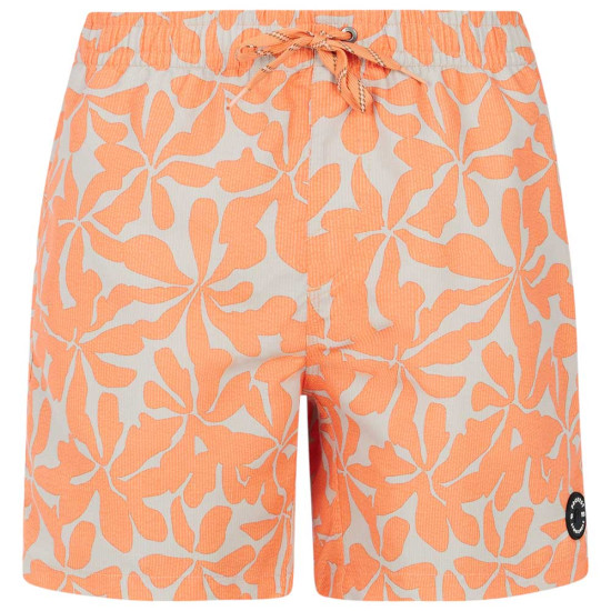 Protest Ανδρικό μαγιό Baza Swim Shorts